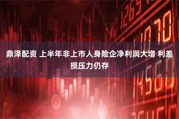 鼎泽配资 上半年非上市人身险企净利润大增 利差损压力仍存