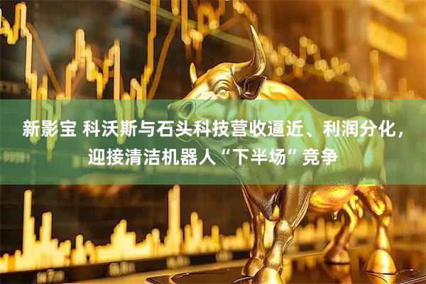 新影宝 科沃斯与石头科技营收逼近、利润分化，迎接清洁机器人“下半场”竞争