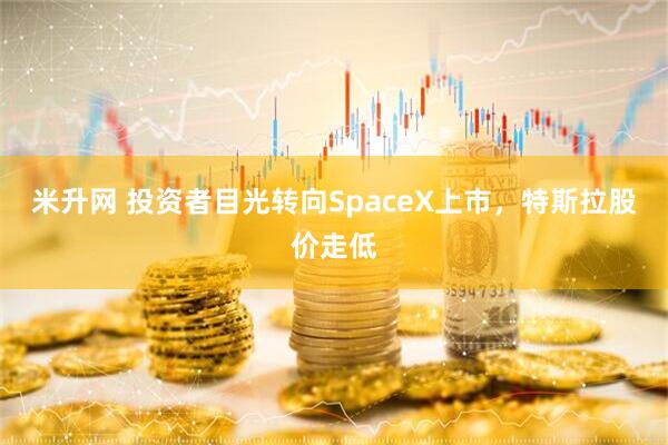米升网 投资者目光转向SpaceX上市，特斯拉股价走低