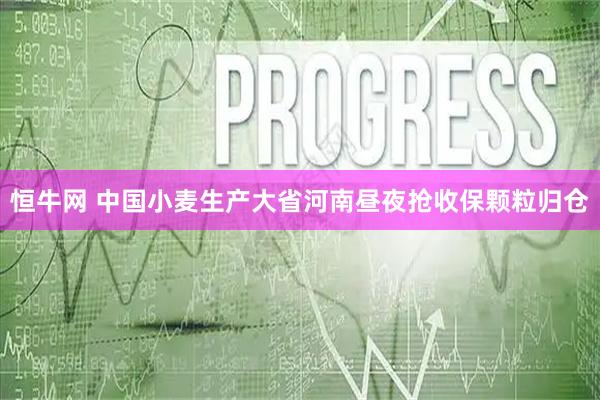 恒牛网 中国小麦生产大省河南昼夜抢收保颗粒归仓